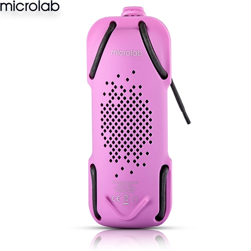 Loa Microlab D22